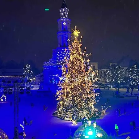 Attic, In The Heart Of * Kaunas