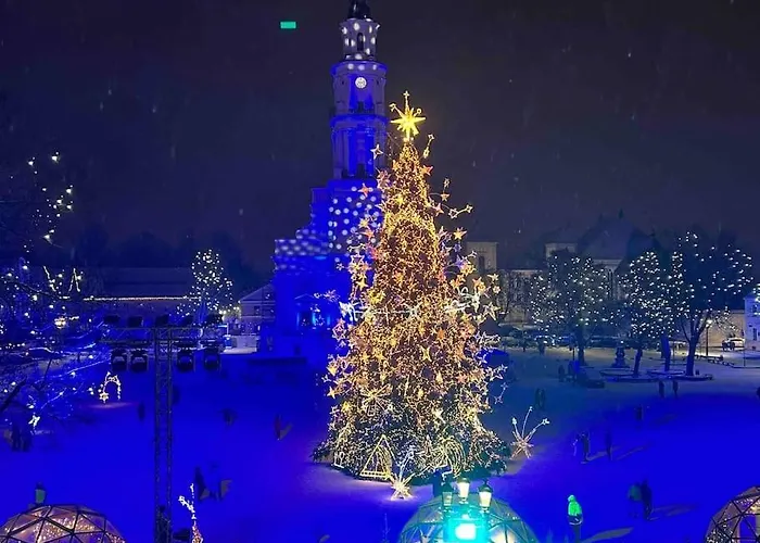 Attic, In The Heart Of * Kaunas